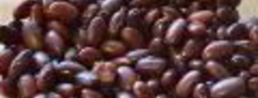 винегрет с красной фасолью и сельдью. Шаг 3