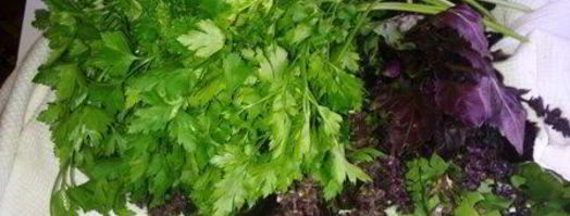 кетчуп домашний пряный. Шаг 4