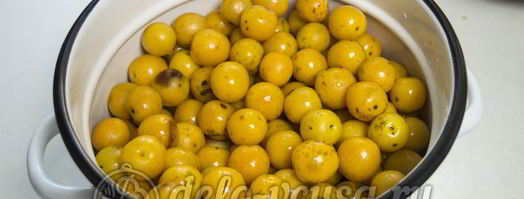 кетчуп из помидоров и алычи на зиму. Шаг 3