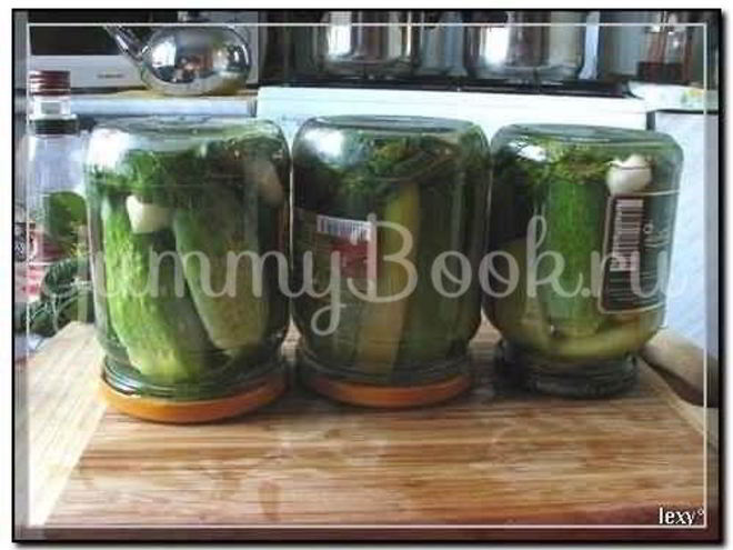 Рецепт моих маринадов