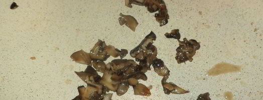 соус бешамель. Шаг 9