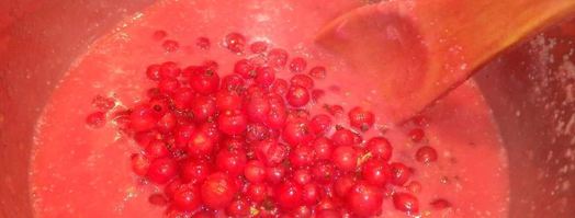 соус из красной смородины. Шаг 7