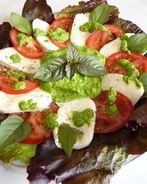 Моцарелла с помидорами под соусом песто