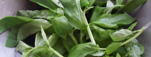 песто с крапивой. Шаг 4