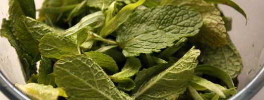 сладкий мятный песто. Шаг 3