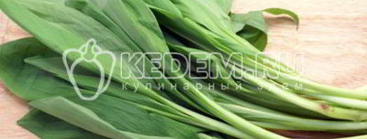 соус песто из черемши. Шаг 5