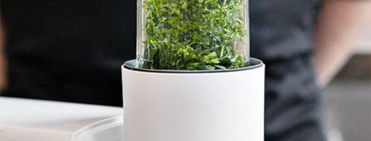 тренетте с соусом песто. Шаг 5