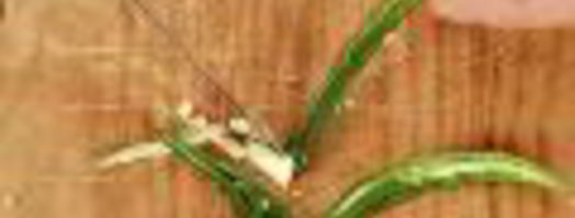 дипы для чипсов. Шаг 5