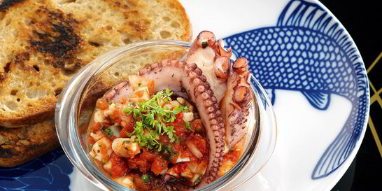 Сальса с кальмарами и осьминогом