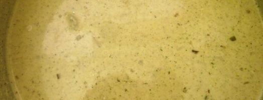 сациви из грибов. Шаг 10