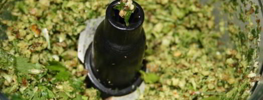 сациви с куриными грудками. Шаг 3