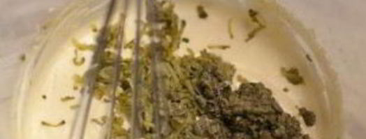 соус тартар без майонеза. Шаг 5