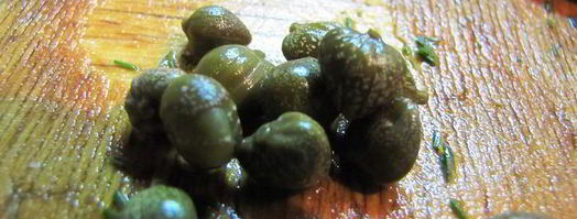 соус тартар с солеными огурчиками. Шаг 6