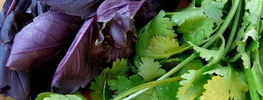 соус из слив ткемали к мясу. Шаг 5