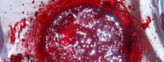 соус ткемали из красной алычи. Шаг 3