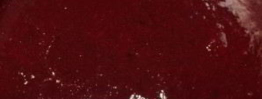 соус ткемали из терна. Шаг 5