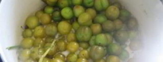 соус ткемали из зеленых слив. Шаг 3