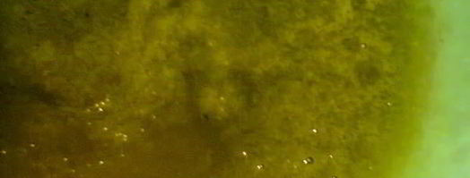 соус зеленый ткемали. Шаг 7