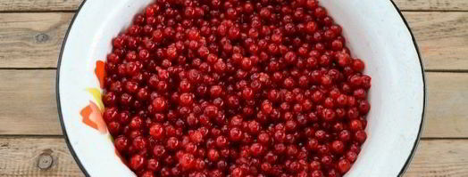 ткемали из красной смородины. Шаг 5