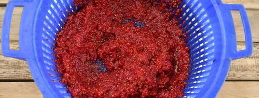 ткемали из красной смородины. Шаг 7