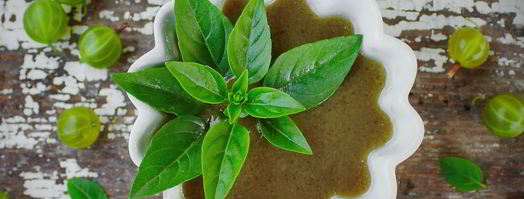 ткемали из крыжовника. Шаг 8