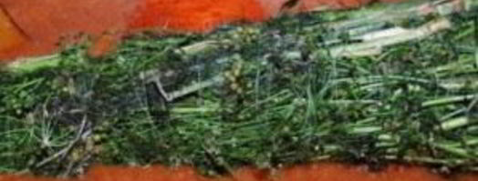 ткемали из слив на зиму. Шаг 13