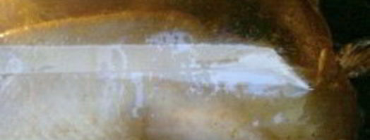 утка в соусе ткемали с медом. Шаг 13