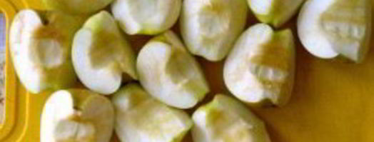 утка в соусе ткемали с медом. Шаг 8