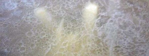 борщ с галушкой. Шаг 28