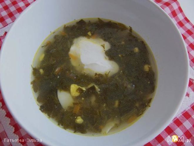 Рецепт борща зеленого
