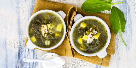 Зеленый борщ с щавелем