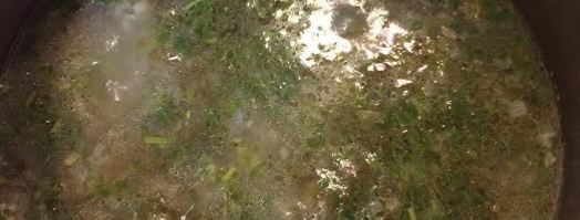 зеленый борщ. Шаг 8