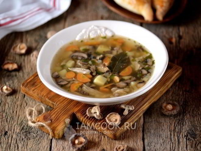 Рецепт грибного супа на курином бульоне