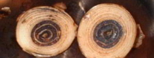 весенний бульон с грибами. Шаг 8