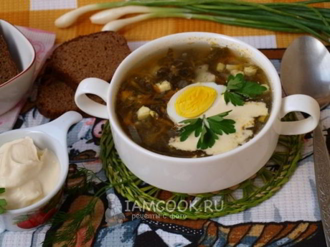 Рецепт зеленого борща со щавелем на мясном бульоне