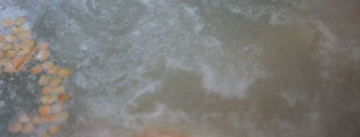 куриный суп с зеленым горохом и чечевицей бобовый дуэт. Шаг 3