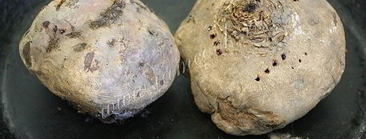 холодник из свеклы на кефире. Шаг 4