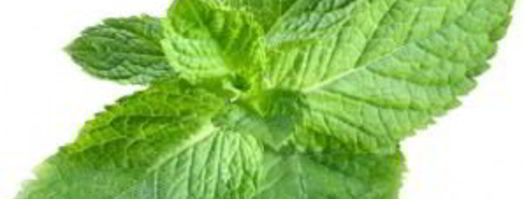 холодный итальянский суп. Шаг 6