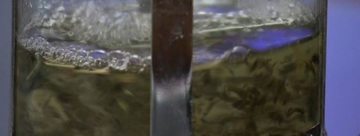 холодный суп из персиков. Шаг 3