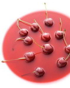 Холодный вишневый суп с бренди