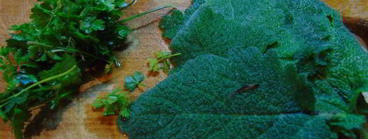 крем-суп из тыквы с песто из шалфея. Шаг 3