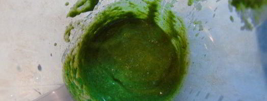 крем-суп из тыквы с песто из шалфея. Шаг 5