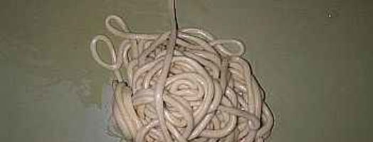 лагман со спагетти. Шаг 12