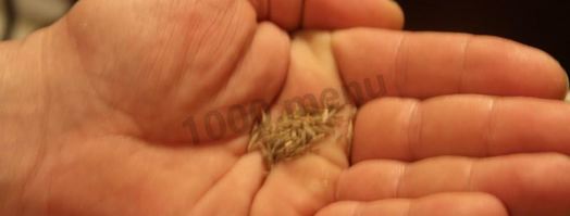 подлива для лагмана. Шаг 12