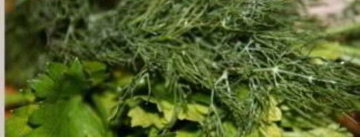 окрошка с квасом и кефиром. Шаг 3