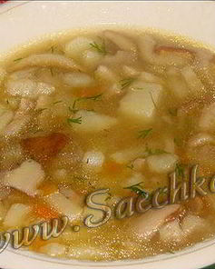 Похлебка из белых грибов