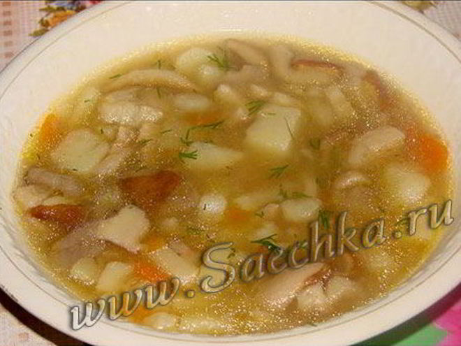 Рецепт похлебки из белых грибов