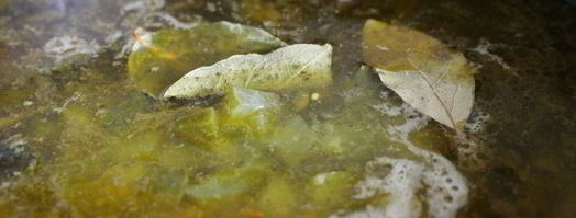 рассольник с лесными грибами в мультиварке. Шаг 9