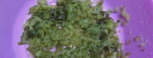 вегетарианский рассольник с рисом. Шаг 6