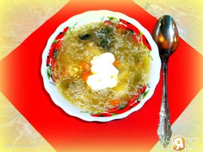 Рецепт грибных щей из квашеной капусты